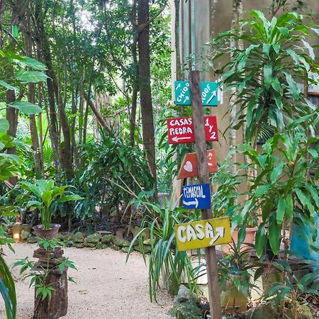 Guest House La Aldea Holistic Experience แคนคูน ภายนอก รูปภาพ