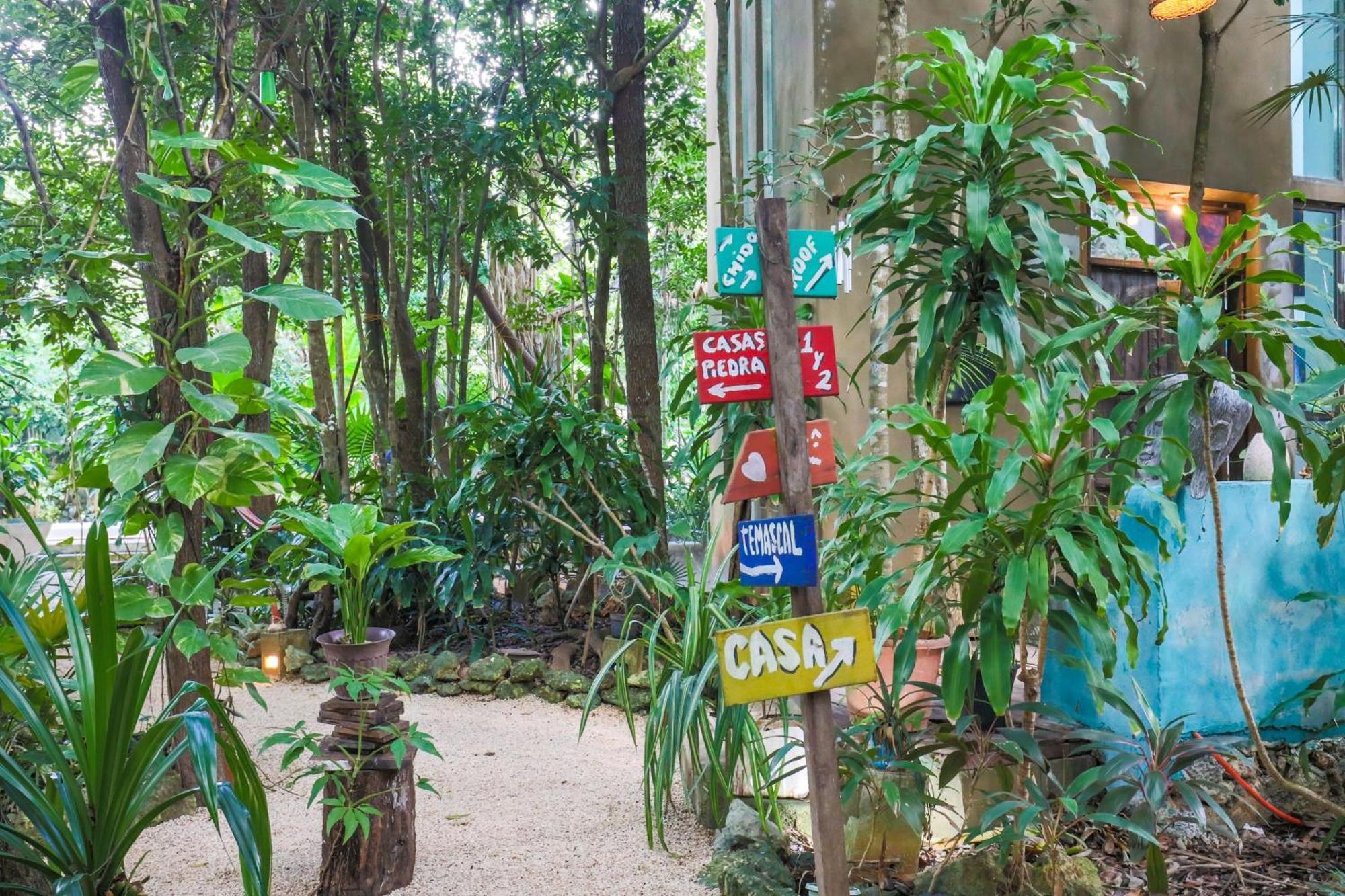Guest House La Aldea Holistic Experience แคนคูน ภายนอก รูปภาพ