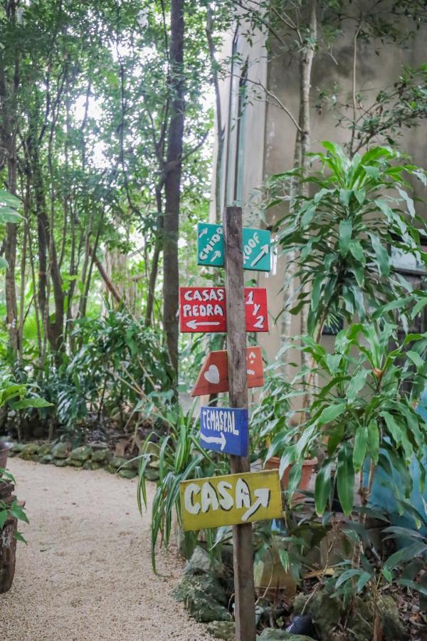 Guest House La Aldea Holistic Experience แคนคูน ภายนอก รูปภาพ