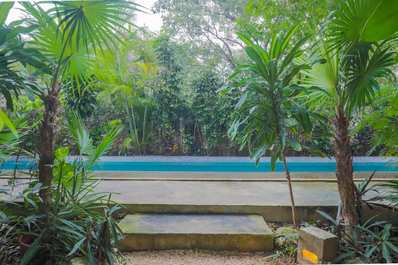 Guest House La Aldea Holistic Experience แคนคูน ภายนอก รูปภาพ